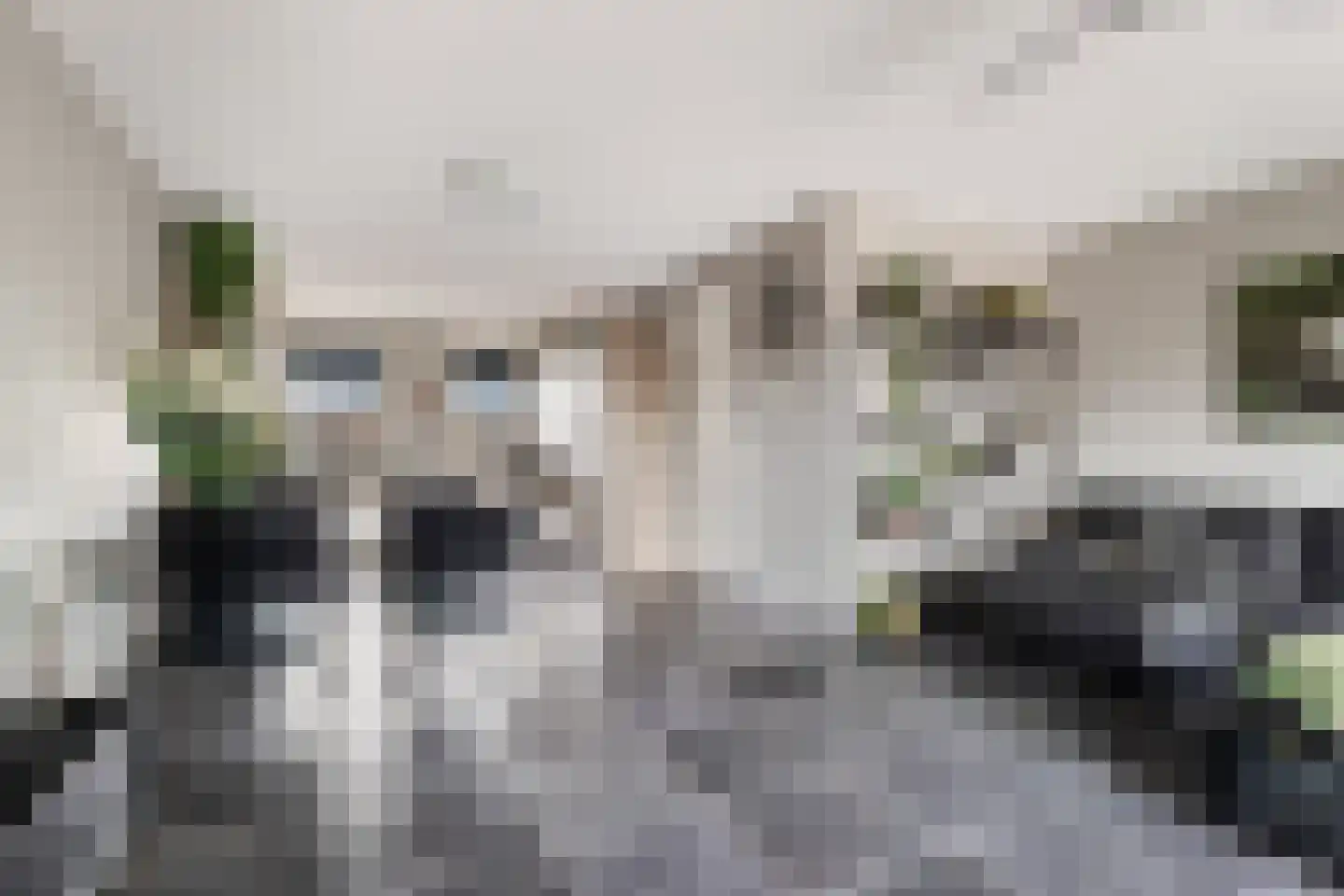 Zellingkade 11 Gouderak thumbnail 17