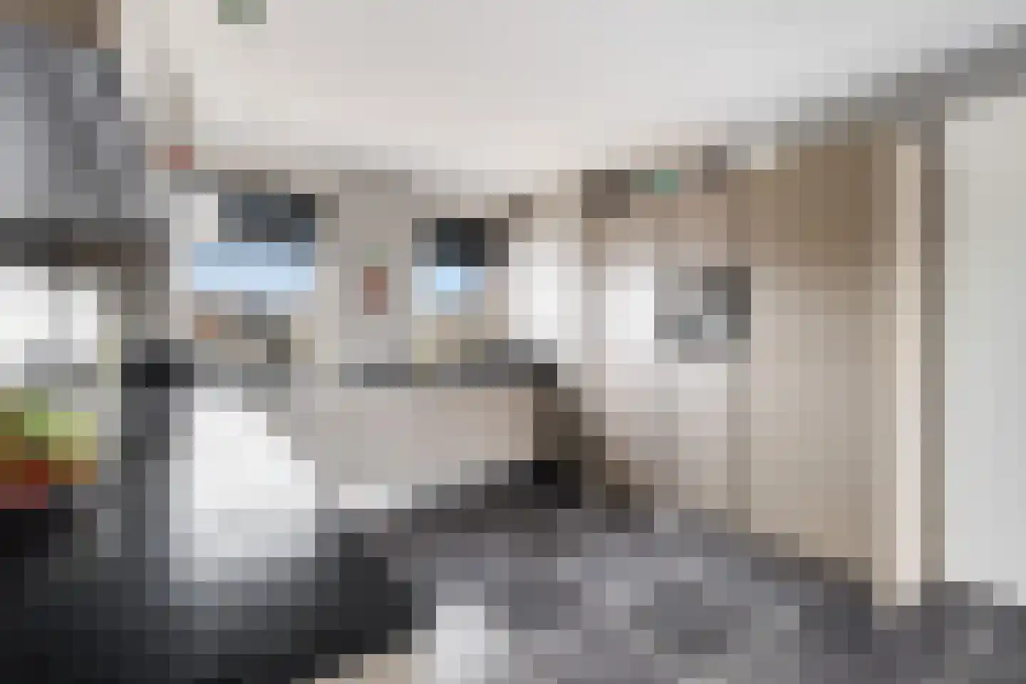 Zellingkade 11 Gouderak thumbnail 18