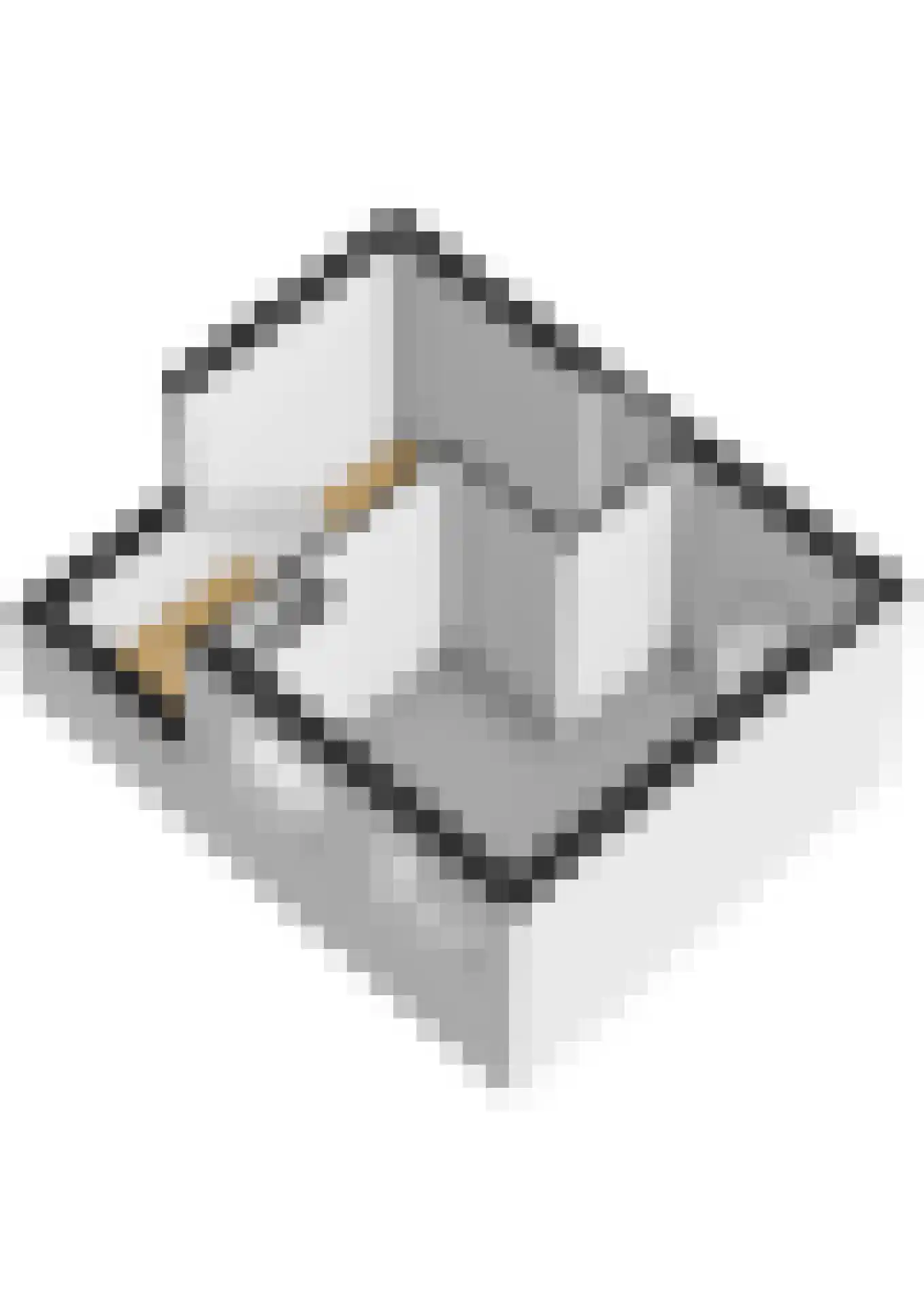 Zellingkade 11 Gouderak thumbnail 67