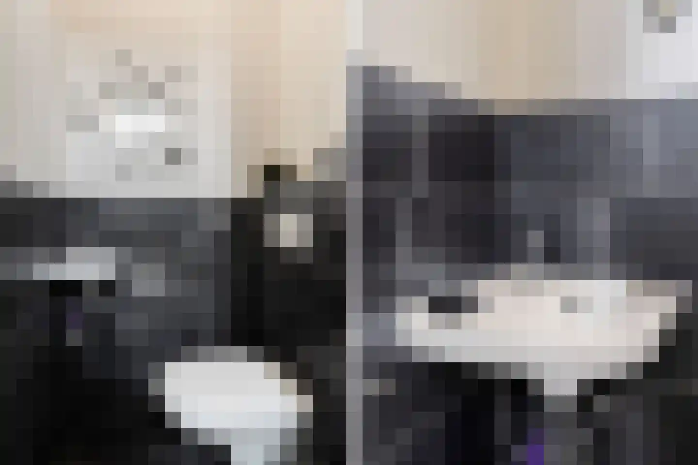 Zellingkade 11 Gouderak thumbnail 8