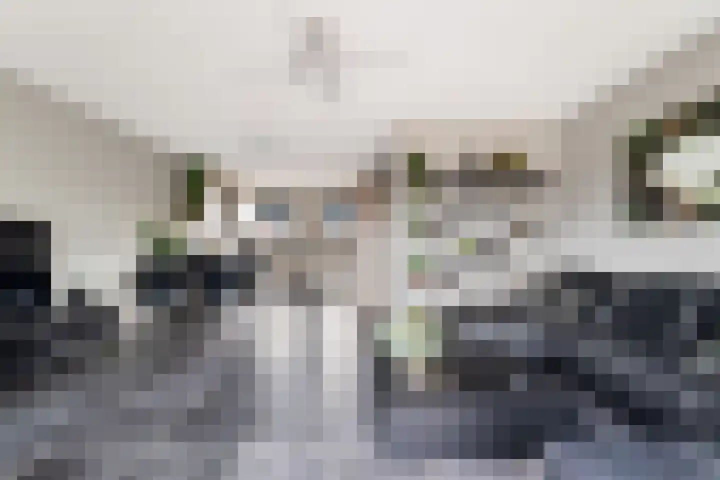 Zellingkade 11 Gouderak thumbnail 9