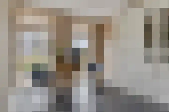 Zellingkade 36 Gouderak thumbnail 10