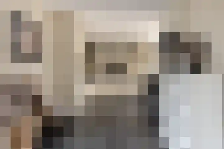 Zellingkade 36 Gouderak thumbnail 12