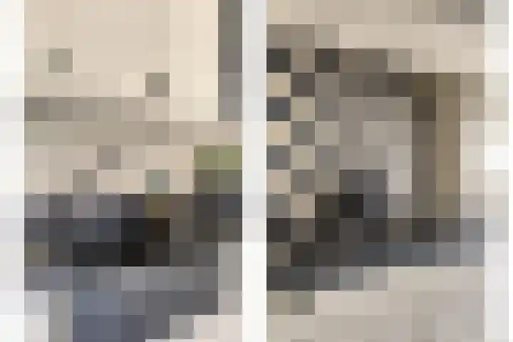 Zellingkade 36 Gouderak thumbnail 14