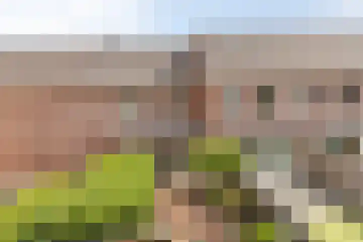 Zellingkade 36 Gouderak thumbnail 22