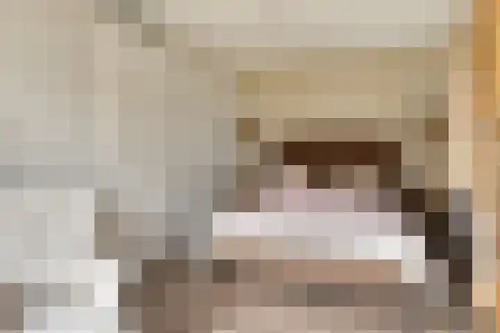 Zellingkade 36 Gouderak thumbnail 31