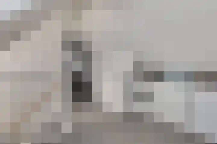 Zellingkade 36 Gouderak thumbnail 38