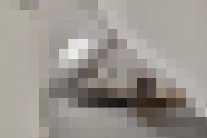 Zellingkade 36 Gouderak thumbnail 39
