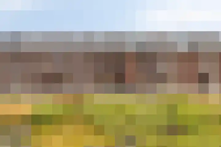 Zellingkade 36 Gouderak thumbnail 43
