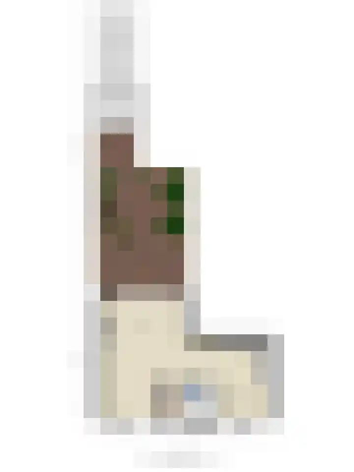 Zellingkade 36 Gouderak thumbnail 50
