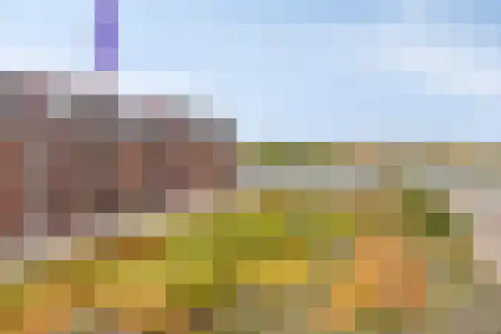 Zellingkade 36 Gouderak thumbnail 52