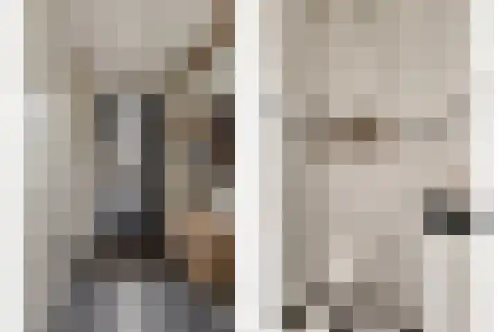 Zellingkade 36 Gouderak thumbnail 6