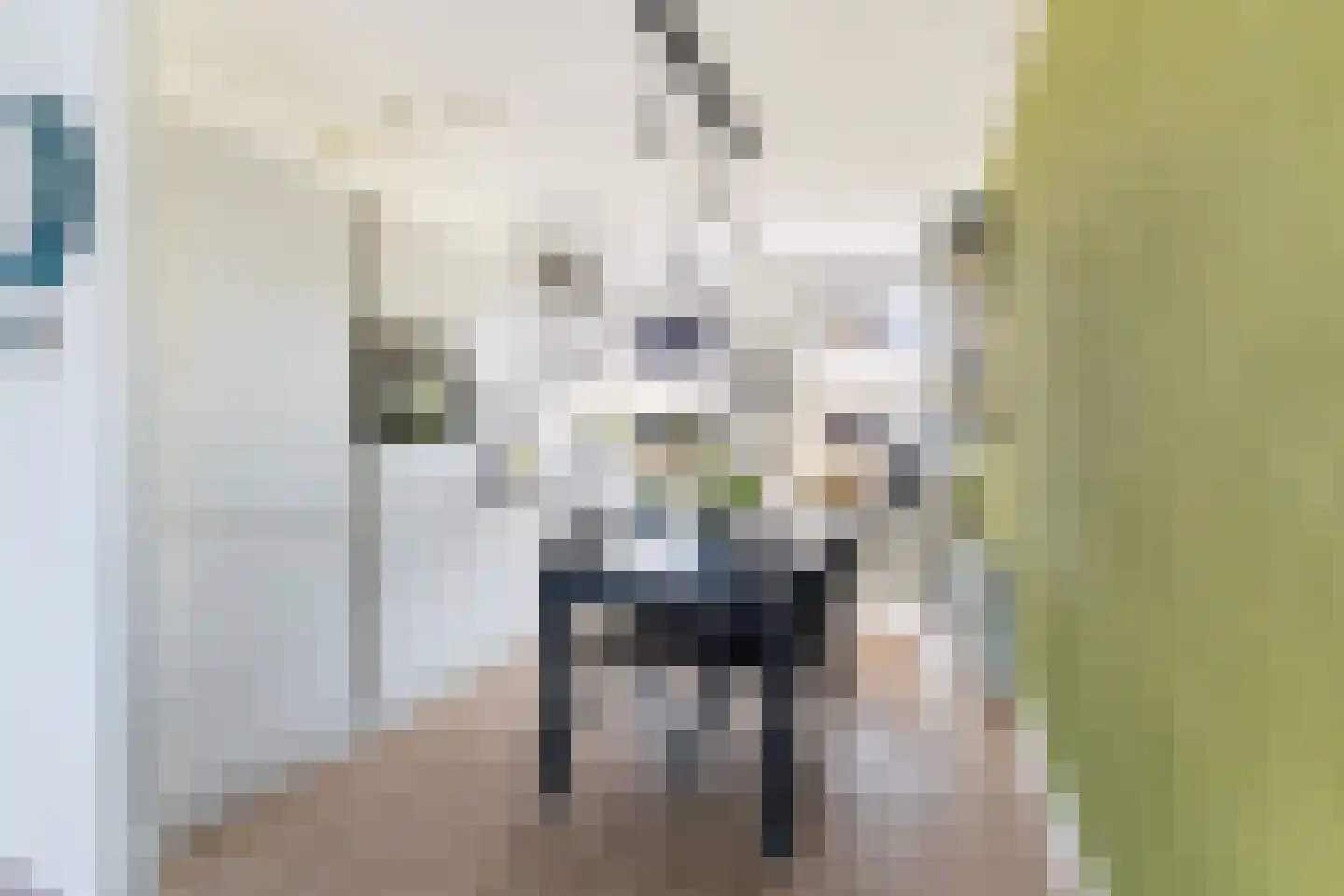Zellingkade 38 Gouderak thumbnail 10