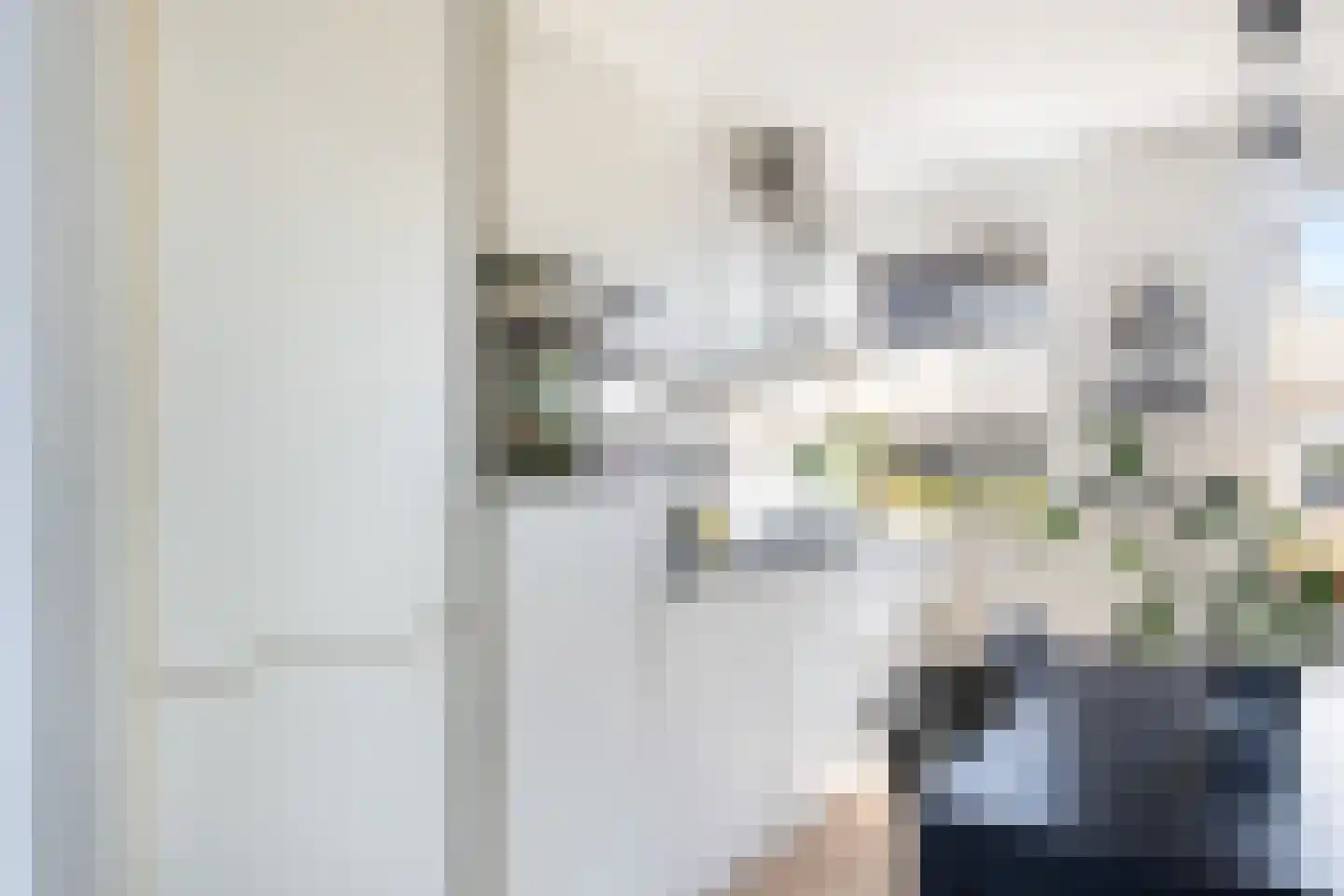 Zellingkade 38 Gouderak thumbnail 11