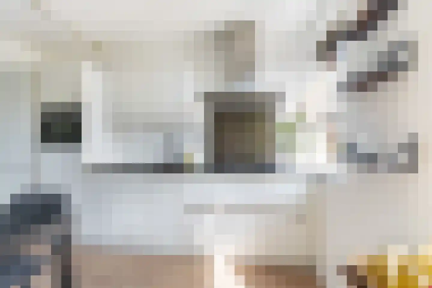 Zellingkade 38 Gouderak thumbnail 12