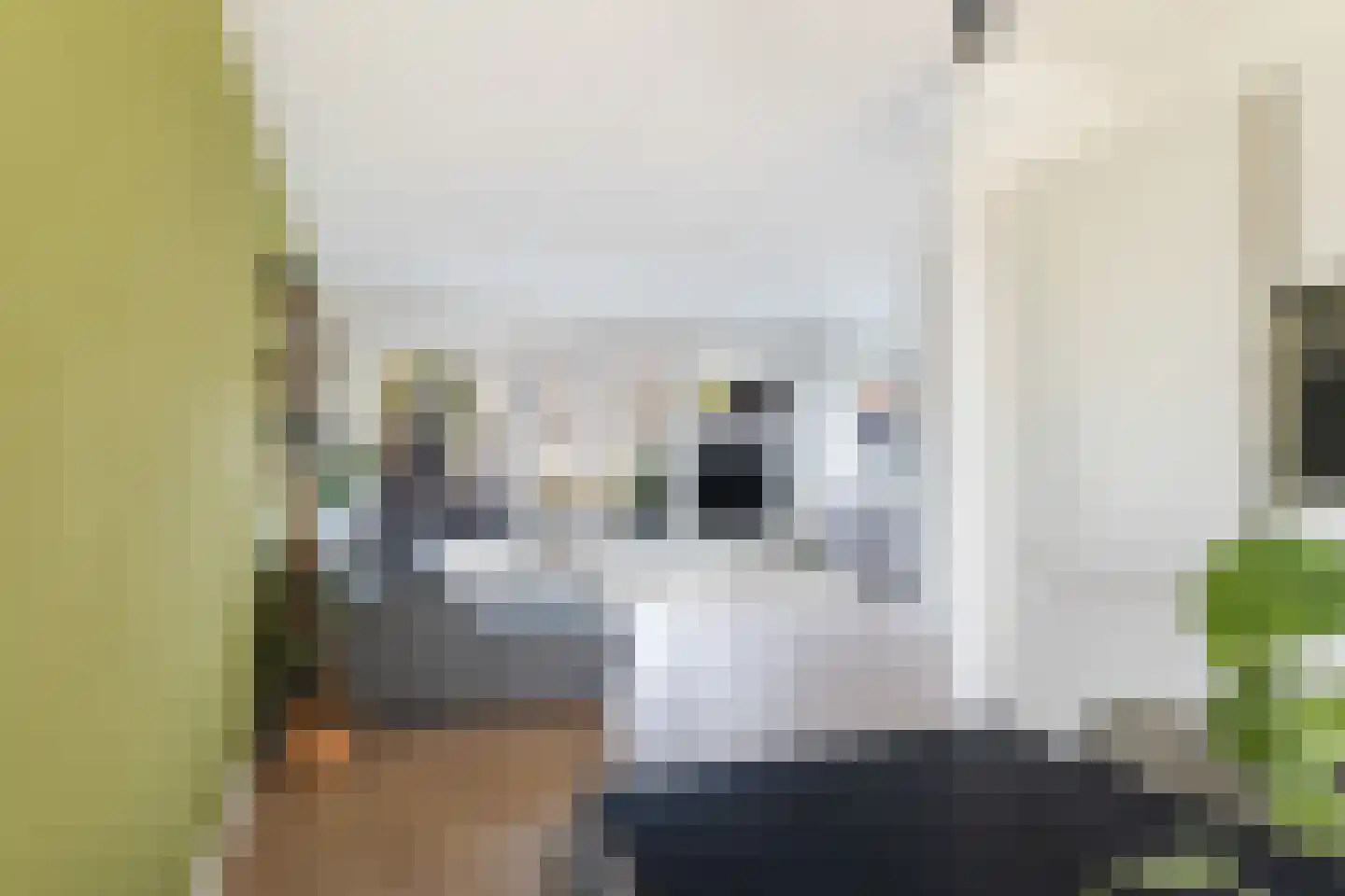 Zellingkade 38 Gouderak thumbnail 13