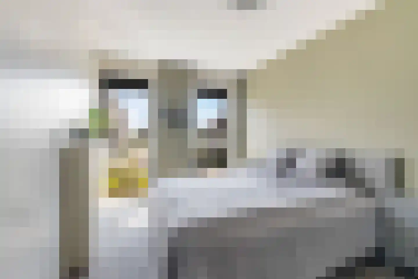 Zellingkade 38 Gouderak thumbnail 20
