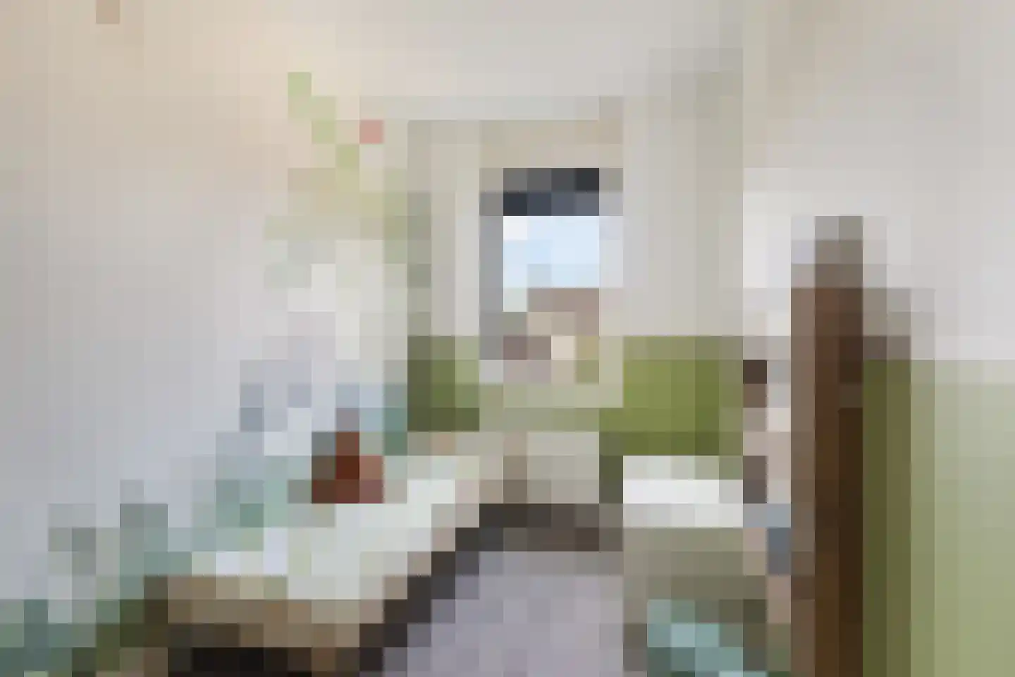 Zellingkade 38 Gouderak thumbnail 26