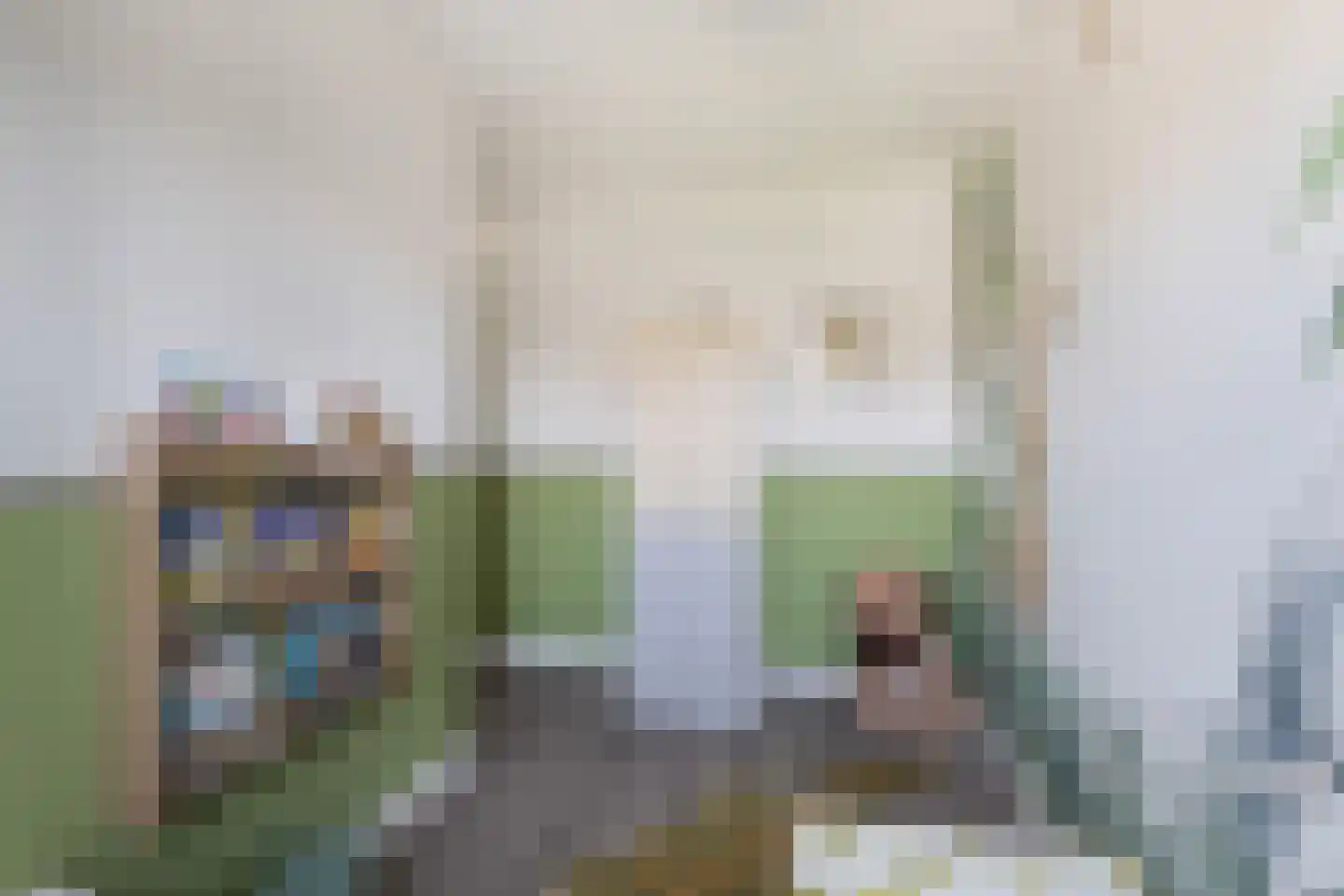 Zellingkade 38 Gouderak thumbnail 27