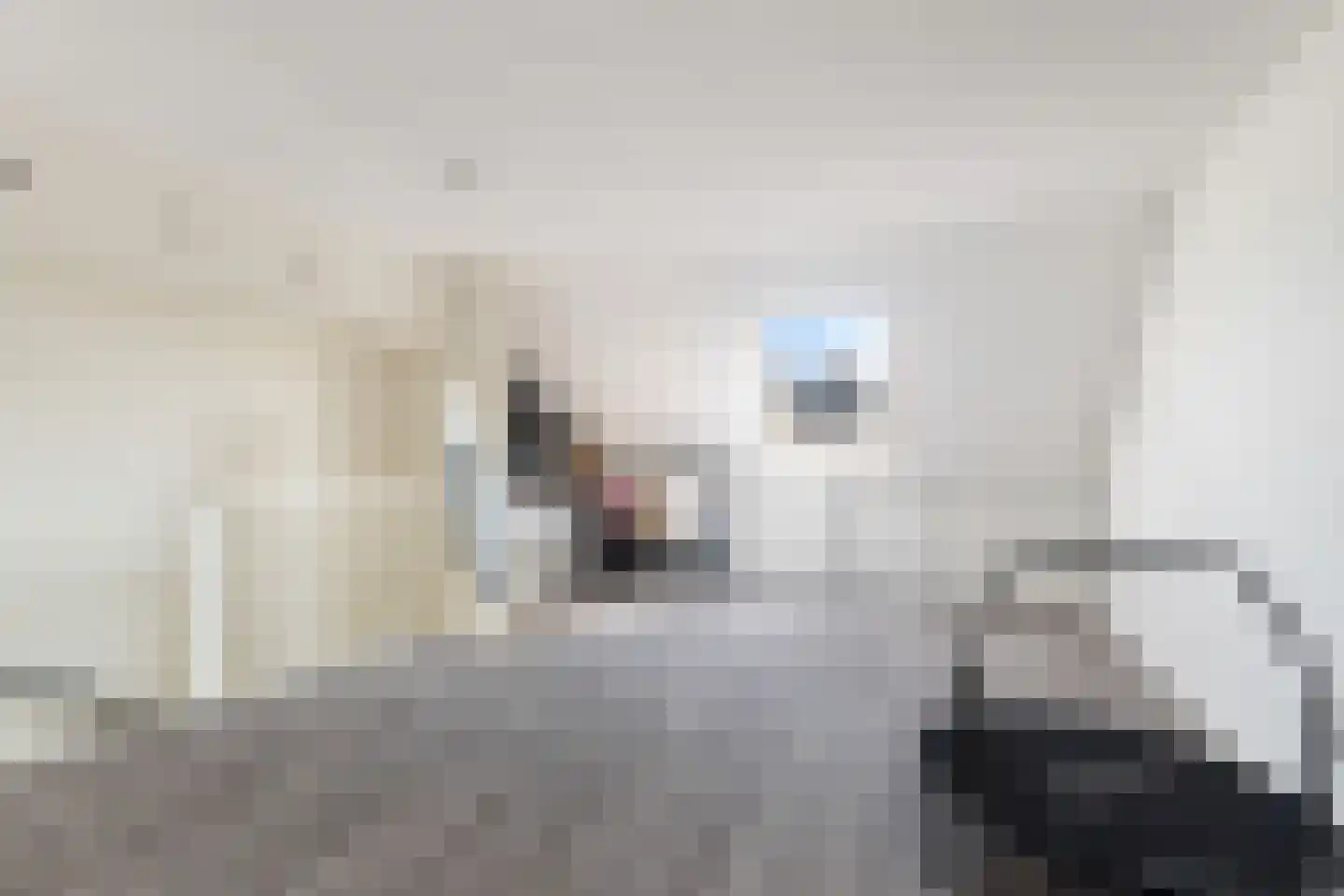 Zellingkade 38 Gouderak thumbnail 28