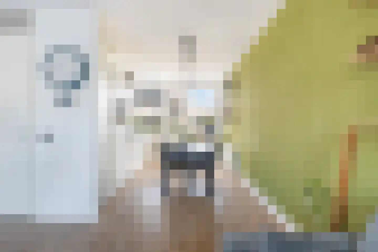 Zellingkade 38 Gouderak thumbnail 9