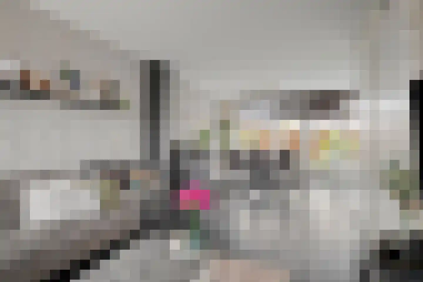 Zellingkade 8 Gouderak thumbnail 11