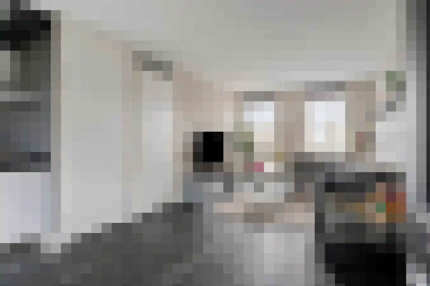 Zellingkade 8 Gouderak thumbnail 12