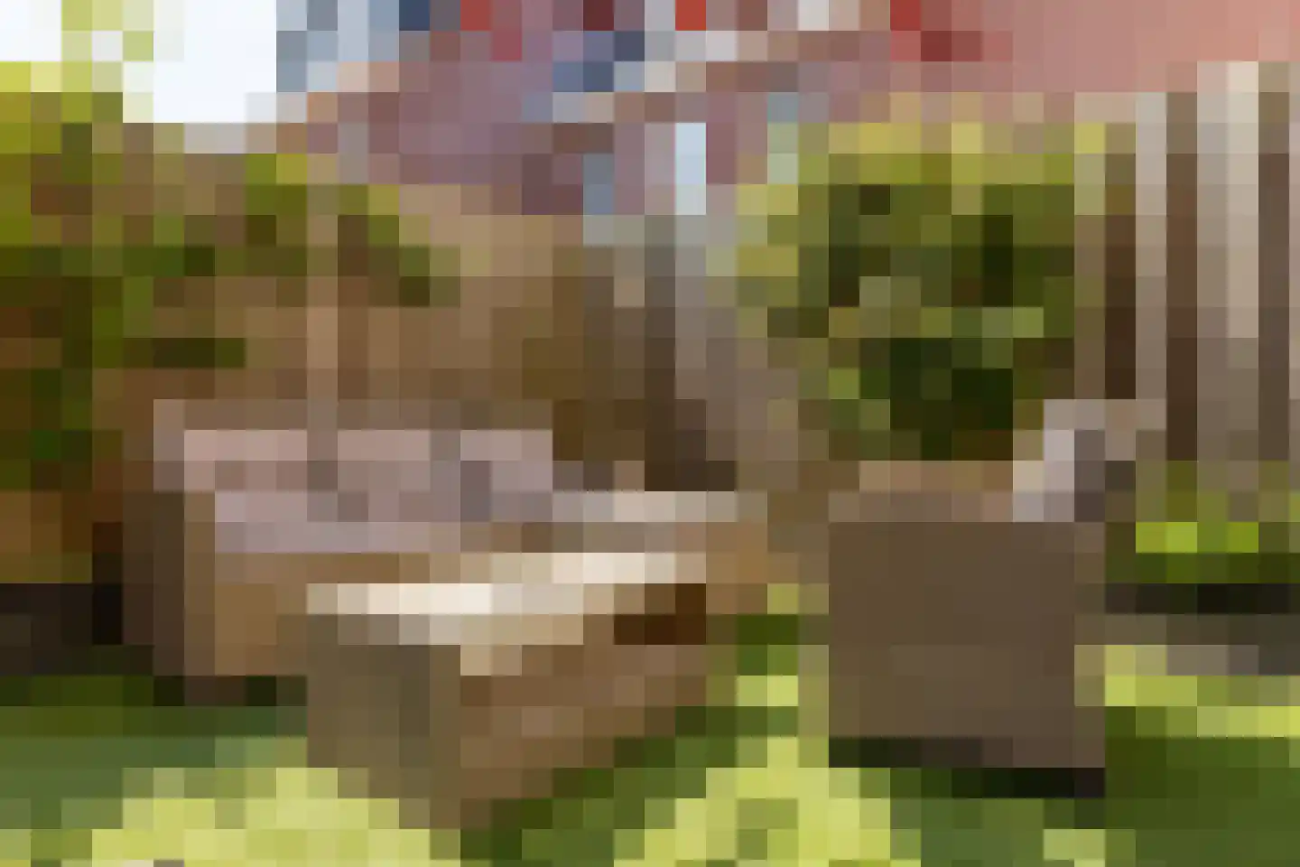 Zellingkade 8 Gouderak thumbnail 15