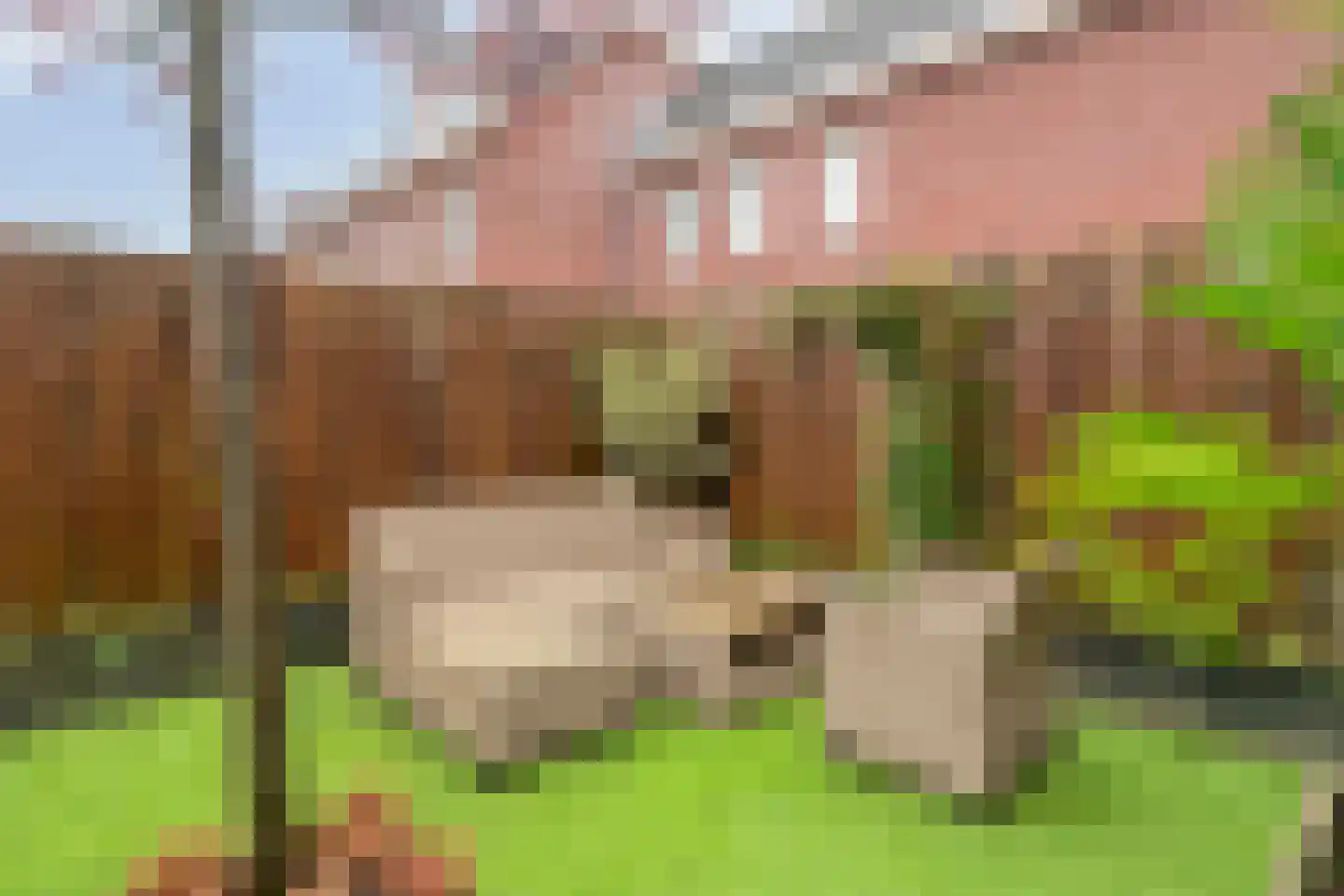 Zellingkade 8 Gouderak thumbnail 16