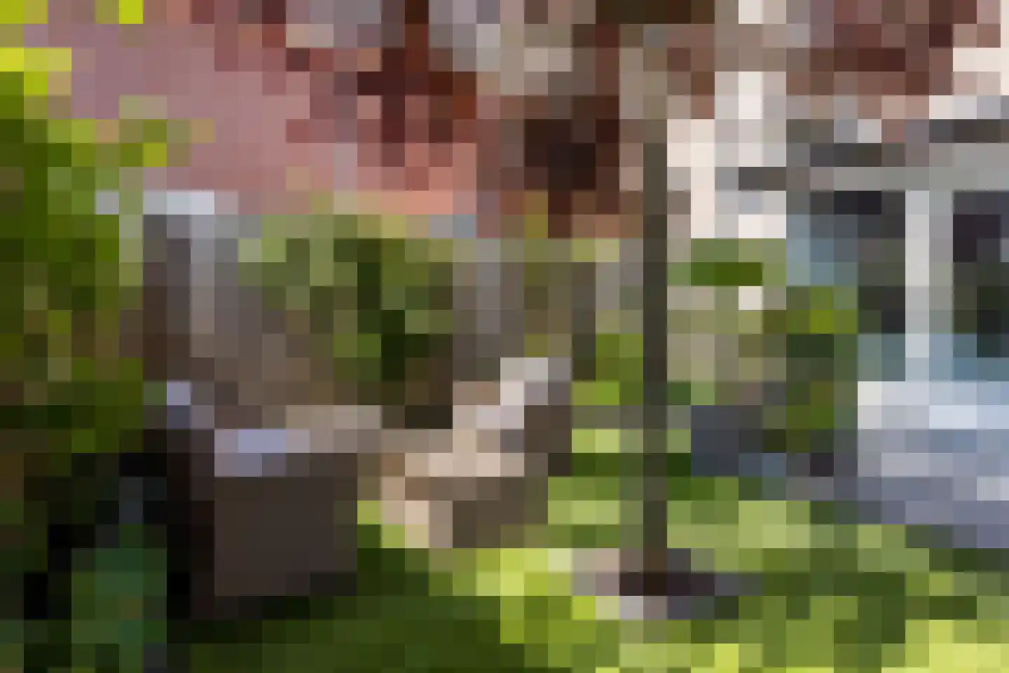 Zellingkade 8 Gouderak thumbnail 16