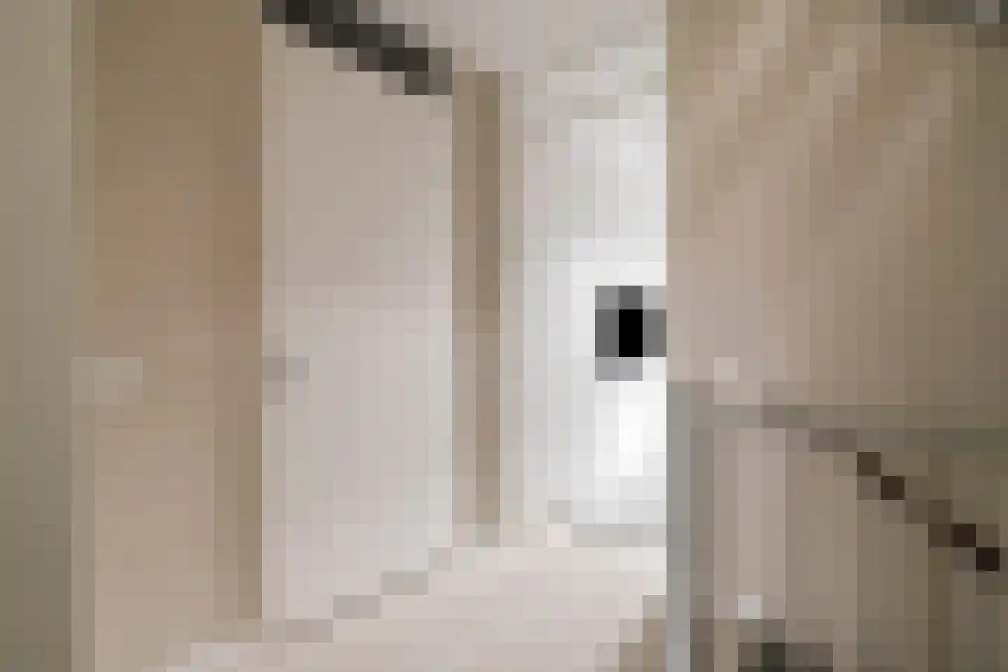 Zellingkade 8 Gouderak thumbnail 18