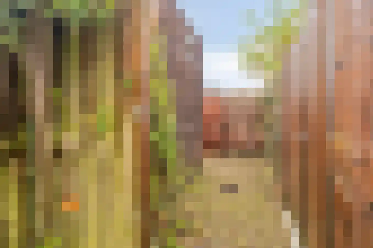 Zellingkade 8 Gouderak thumbnail 34