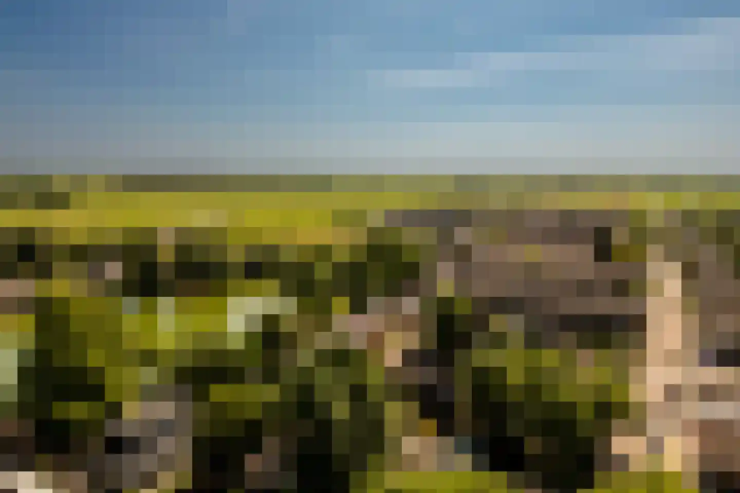 Zellingkade 8 Gouderak thumbnail 41