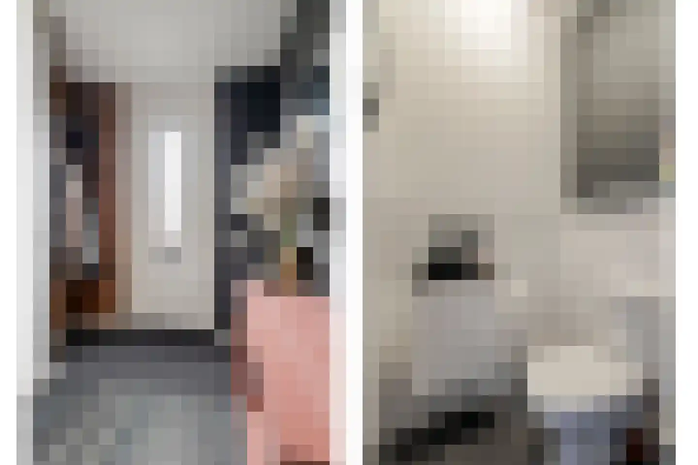 Zellingkade 8 Gouderak thumbnail 9