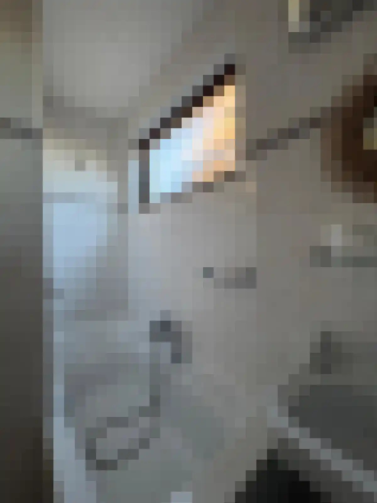 Zelzaetseweg 10 Zuiddorpe thumbnail 10