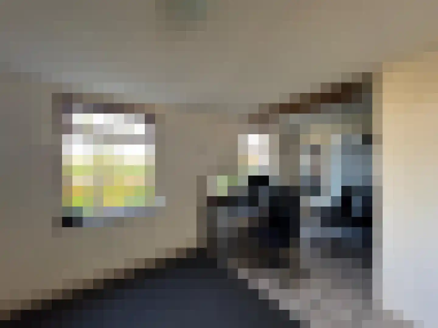 Zelzaetseweg 10 Zuiddorpe thumbnail 4