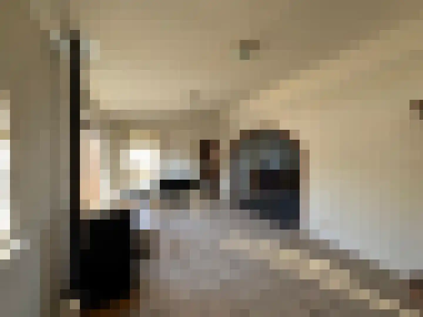 Zelzaetseweg 10 Zuiddorpe thumbnail 5