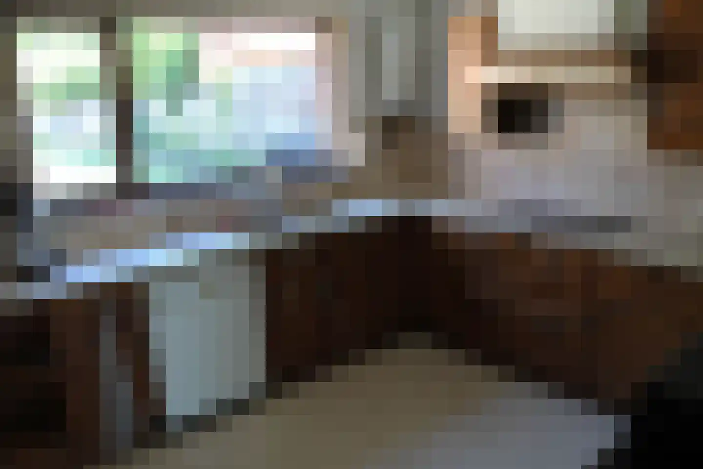 Zelzaetseweg 10 Zuiddorpe thumbnail 5