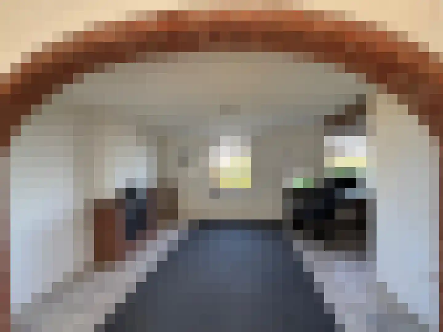 Zelzaetseweg 10 Zuiddorpe thumbnail 6