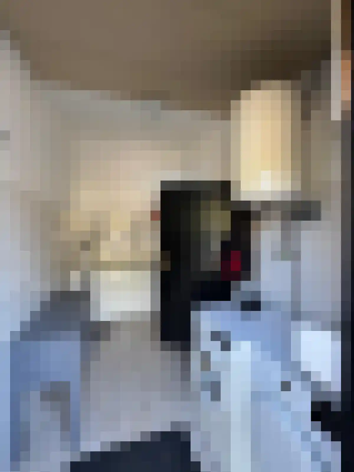 Zelzaetseweg 10 Zuiddorpe thumbnail 8