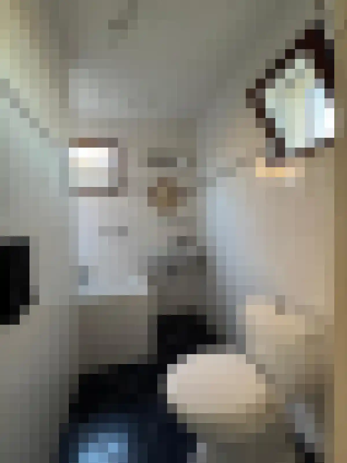 Zelzaetseweg 10 Zuiddorpe thumbnail 9