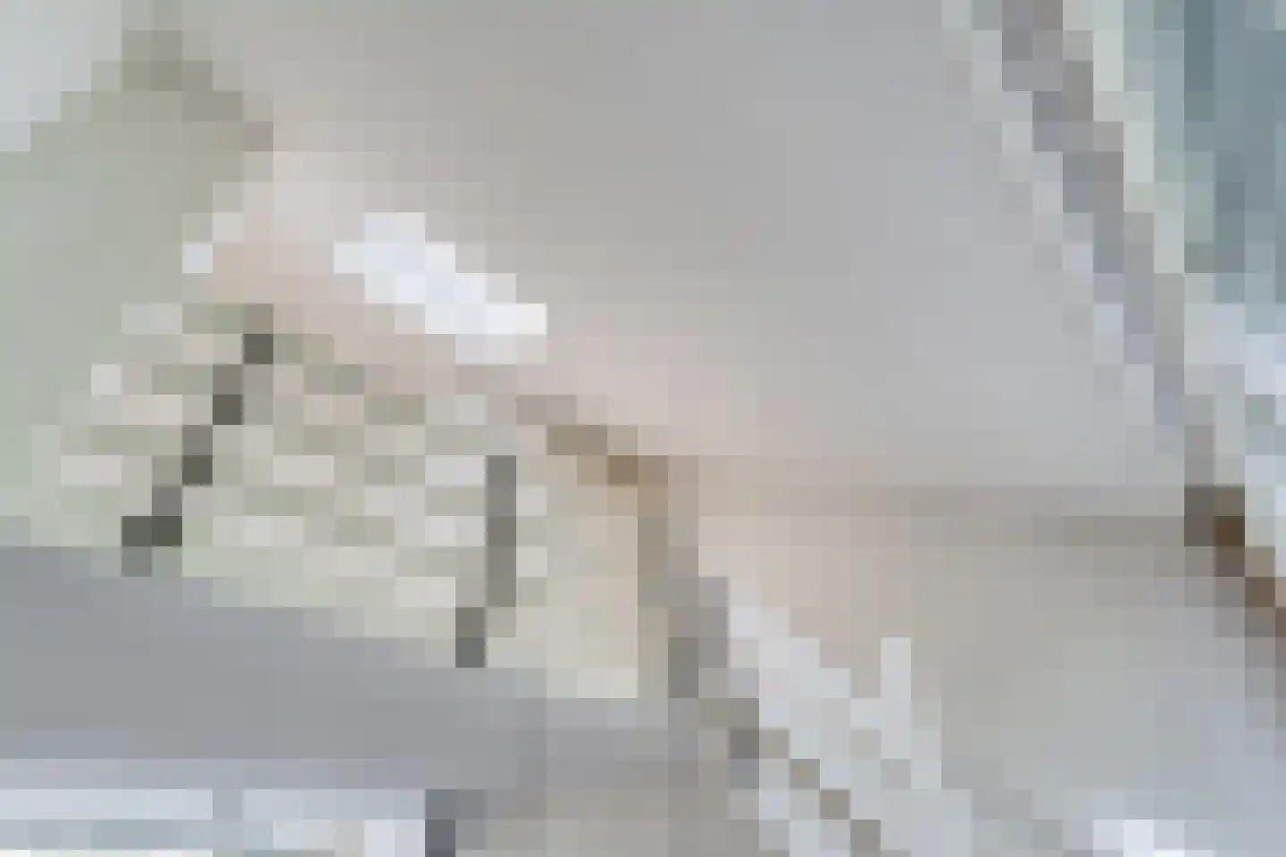 Zende 11 Oosterhesselen thumbnail 13