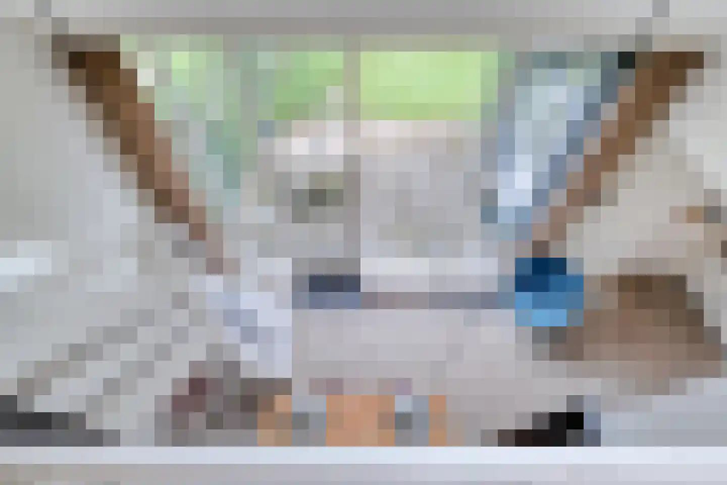 Zende 11 Oosterhesselen thumbnail 25