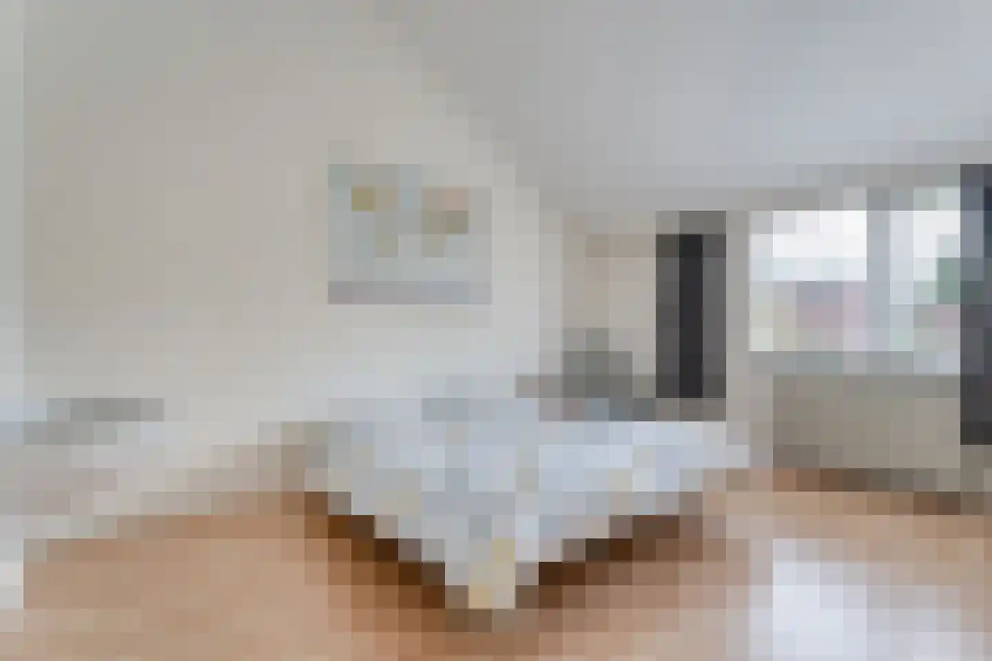 Zende 11 Oosterhesselen thumbnail 29