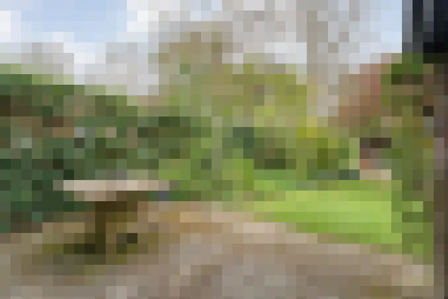 Zende 11 Oosterhesselen thumbnail 34