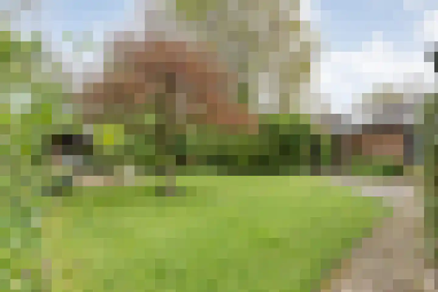 Zende 11 Oosterhesselen thumbnail 37