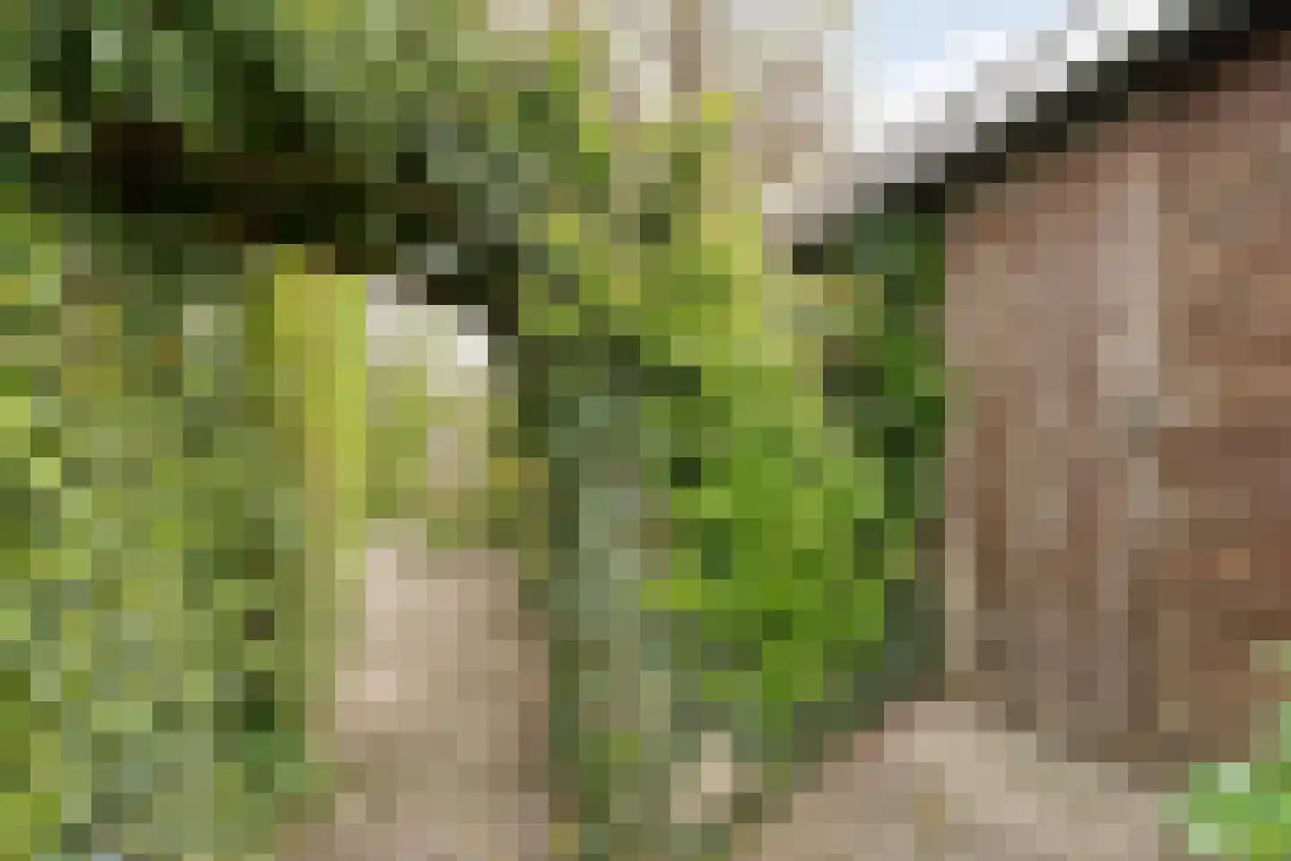 Zende 11 Oosterhesselen thumbnail 41