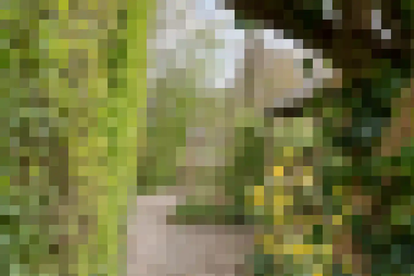 Zende 11 Oosterhesselen thumbnail 42