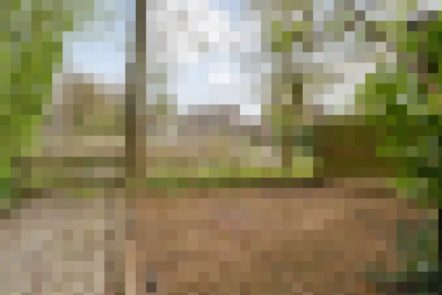 Zende 11 Oosterhesselen thumbnail 44