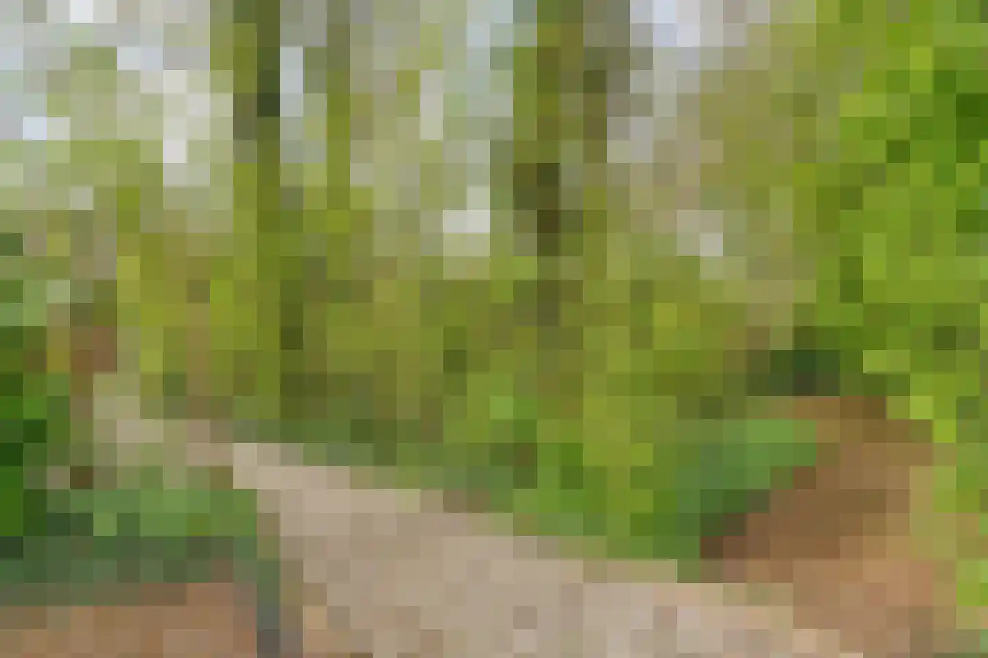 Zende 11 Oosterhesselen thumbnail 45